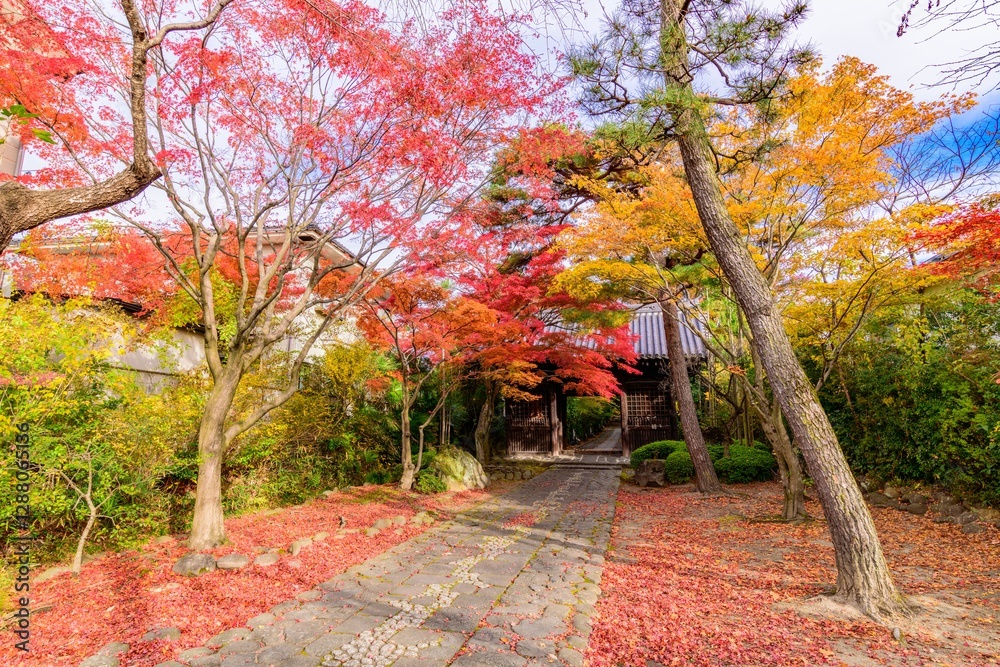 Naklejka premium 輪王寺 晩秋 