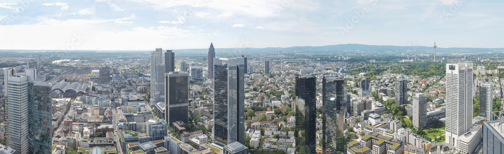 Fototapeta premium Frankfurt am Main panorama