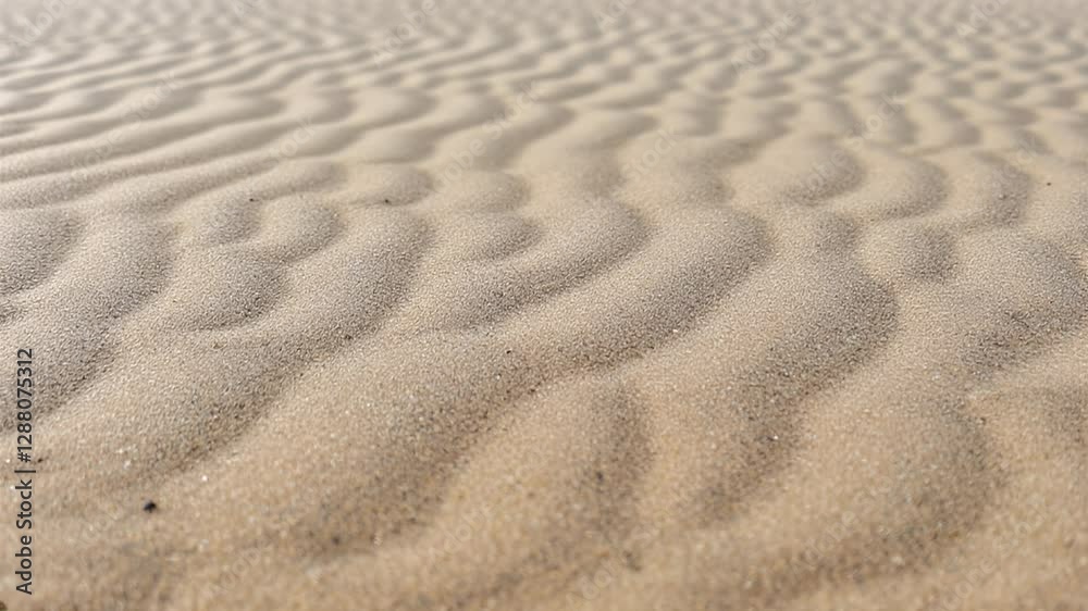 Textured Sand Dunes: A Close-Up View of Desert Landscape Textured Sand Dunes: A Close-Up View of Desert Landscape