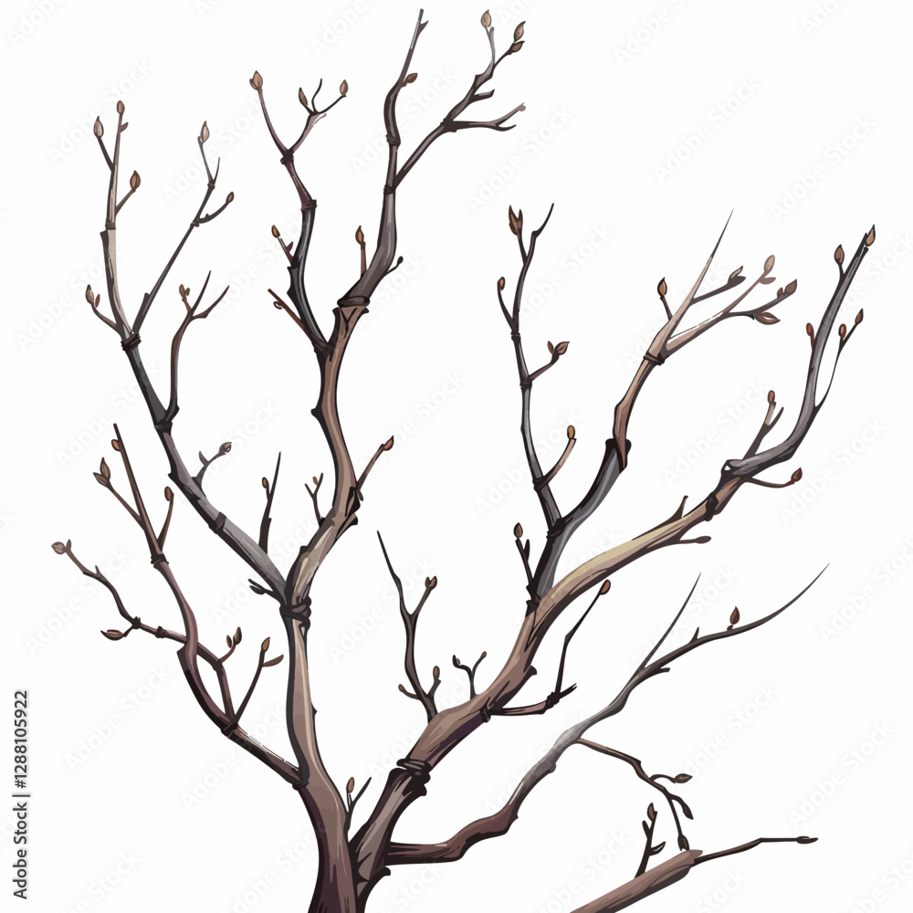 Twig isolated Twig isolated