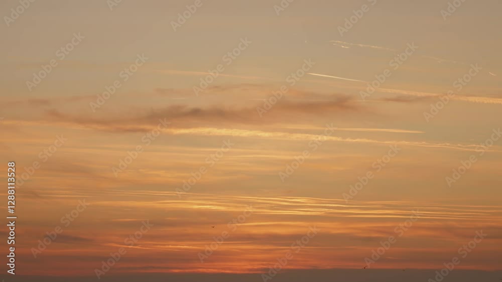 A beautiful sunset casts warm hues over an urban landscape filled with rooftops and towering buildings, highlighting the beauty of city life as day turns to night. A beautiful sunset casts warm hues over an urban landscape filled with rooftops and towering buildings, highlighting the beauty of city life as day turns to night.