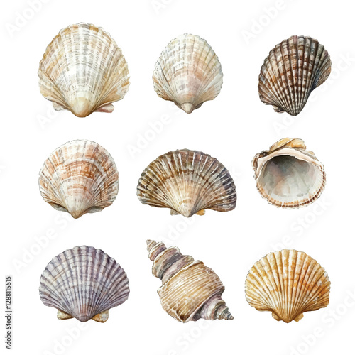 Adobe Illustrator Artwork