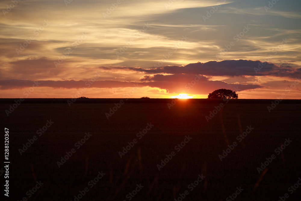 rural countryside at sunset