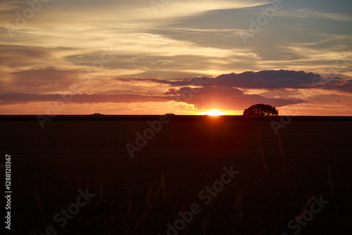 rural countryside at sunset