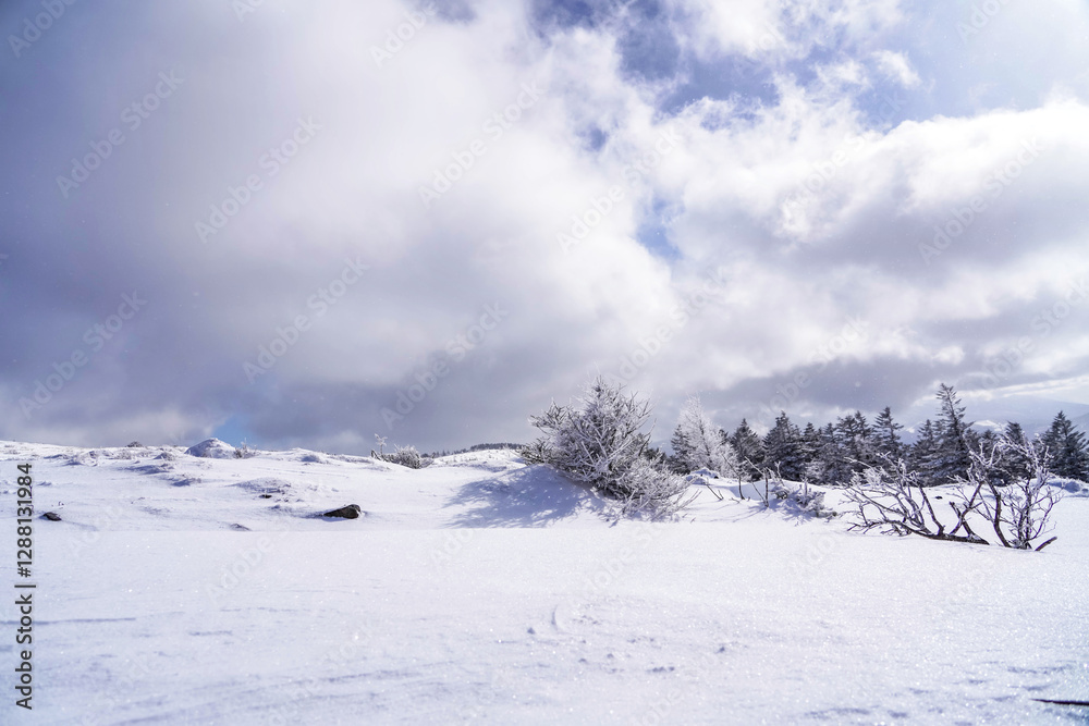 幻想的な雪景色と静寂な冬の自然