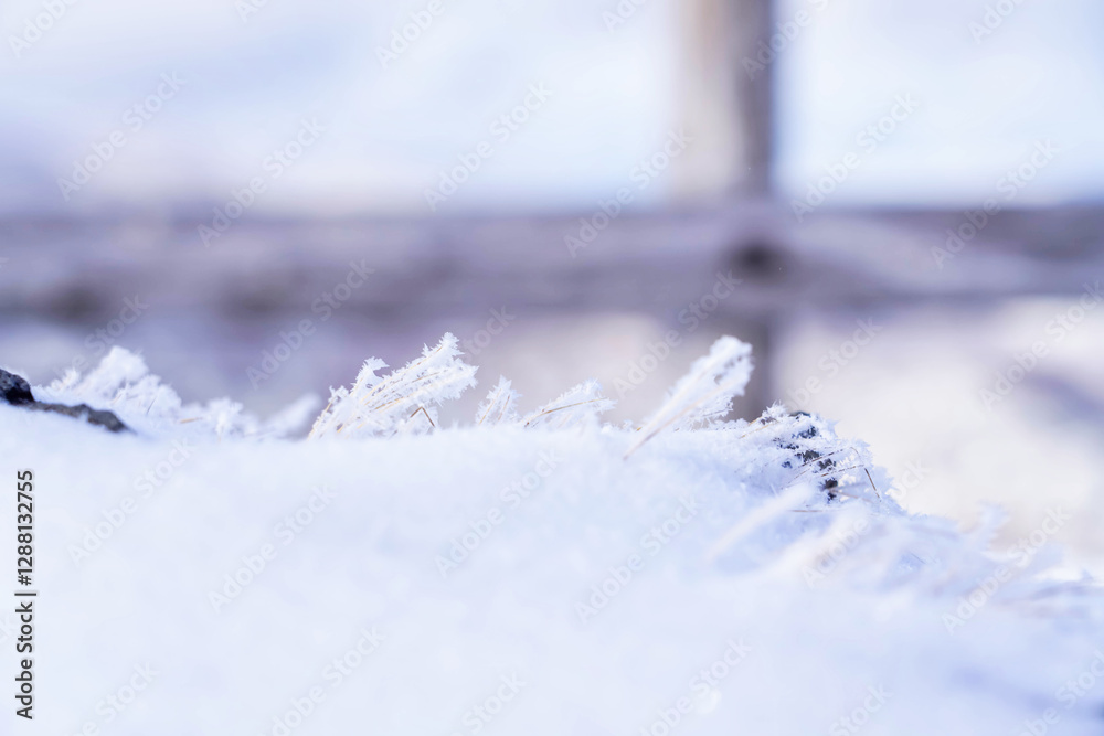 幻想的な雪景色と静寂な冬の自然