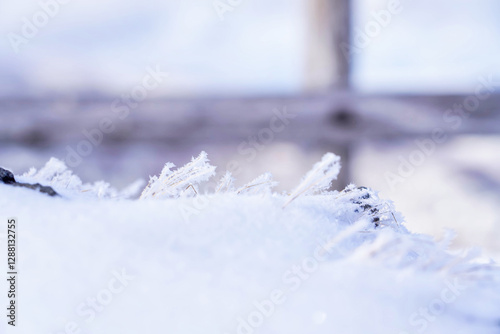Obraz na płótnie 幻想的な雪景色と静寂な冬の自然
w salonie