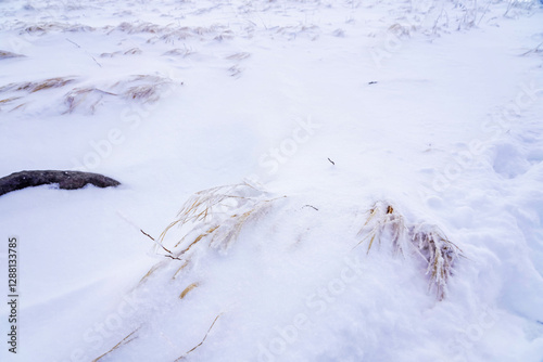 幻想的な雪景色と静寂な冬の自然
