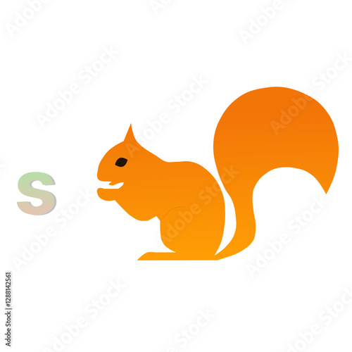 squirrel on a white background