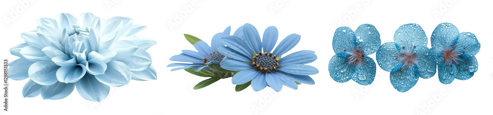 Obraz premium Beautiful blue flowers showcasing delicate petals and vibrant hues, perfect for adding a touch of nature's charm to any design or project. PNG transparent background