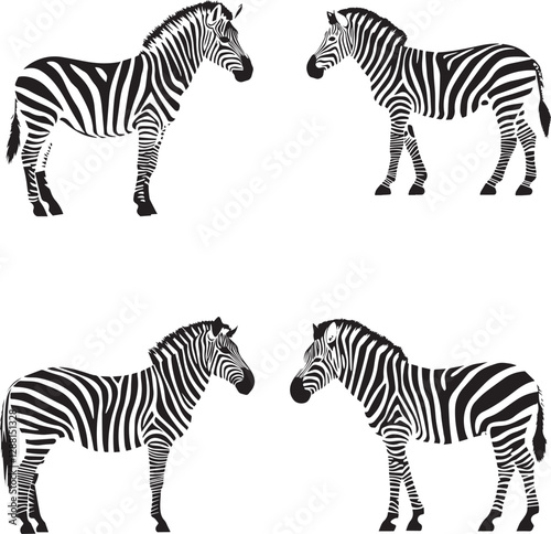 Silhouette of  Standing Zebra side Profile