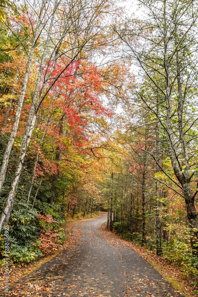 Fall scenery along the trails in Smithgall-Woods State Park, near Helen Georgia Fall scenery along the trails in Smithgall-Woods State Park, near Helen Georgia