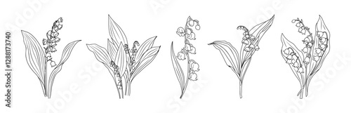 Lily of The Valley May birth month flower drawing. Modern minimalist line art design for jewelry, logo, tattoo, wall art, sticker. Vector black outline illustration isolated 