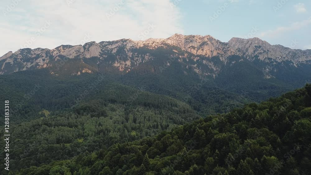 Experience the breathtaking beauty of mountain peaks rising above expansive fir forests. Discover the serene nature and vibrant greenery in this captivating location. Experience the breathtaking beauty of mountain peaks rising above expansive fir forests. Discover the serene nature and vibrant greenery in this captivating location.