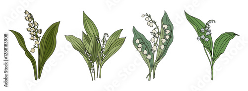 Lily of The Valley May birth flower colorful vector illustration isolated on white background. Modern minimalist design for logo, tattoo, wall art, poster, greeting and invitation cards, stickers.