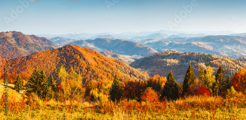 Majestic autumn panorama with multicolored wooded hills in soft sunlight. Carpathian mountains, Ukraine, Europe.