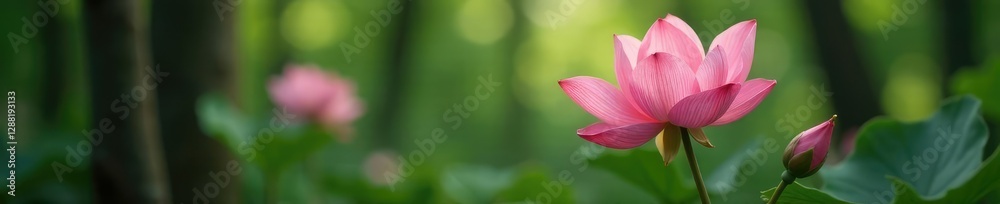 Soft petals unfurl in hues of blush pink amidst forest foliage, nature, forest bloom, flora Soft petals unfurl in hues of blush pink amidst forest foliage, nature, forest bloom, flora