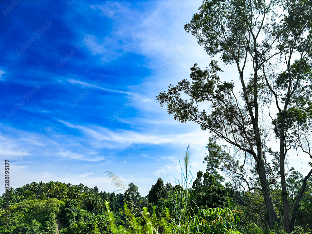 View on the hill with clear sky View on the hill with clear sky