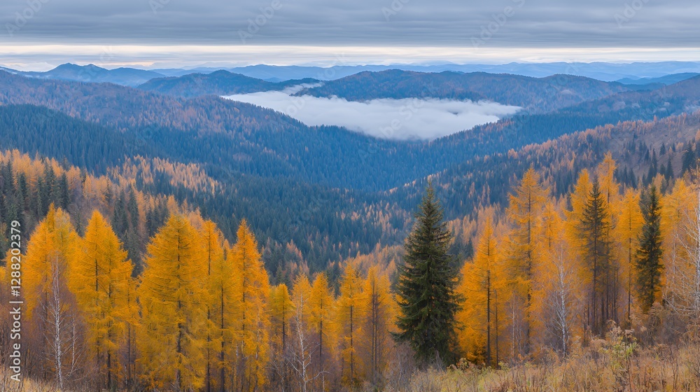Autumnal Mountain Landscape with Golden Trees and Fog Autumnal Mountain Landscape with Golden Trees and Fog