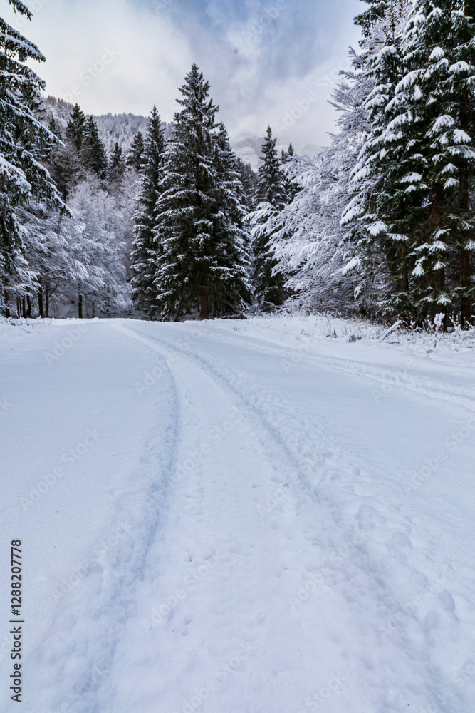 After the snowfall at Lago di Cave