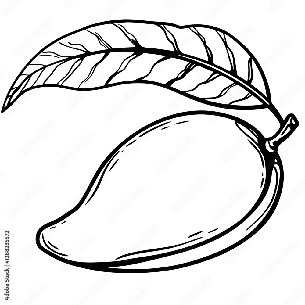 Fototapeta premium mango