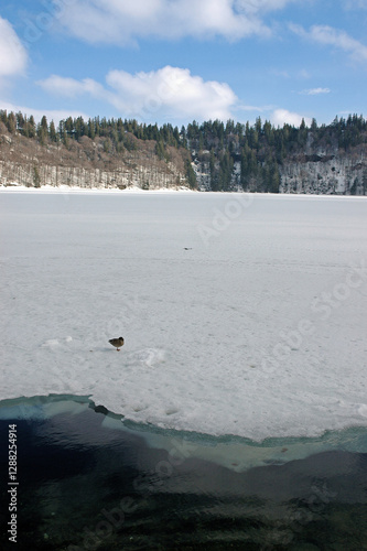 Lac Pavin, Massif du Sancy, Parc naturel régional des Volcans, région d'Auvergne, Puy-de-Dôme, 63, France photo