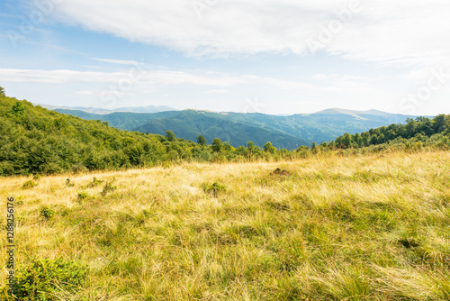 Obraz na płótnie landscape of carpathian mountains in late summer. alpine scenery with primeval beech forest behind the grassy meadow beneath a cloudy sky at high noon. green tourism in europe w salonie