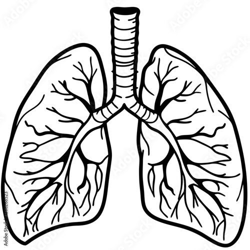 Lung