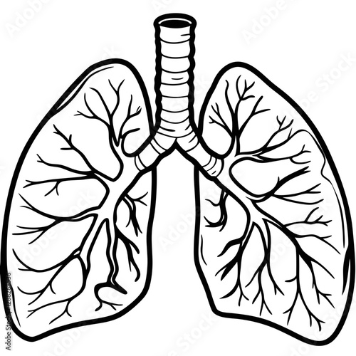 Lung