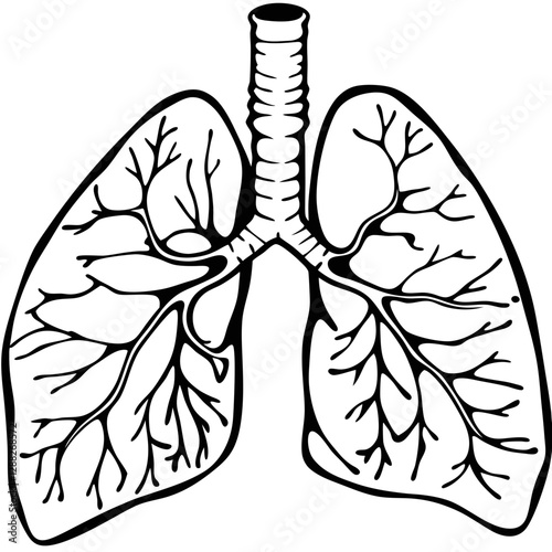 Lung