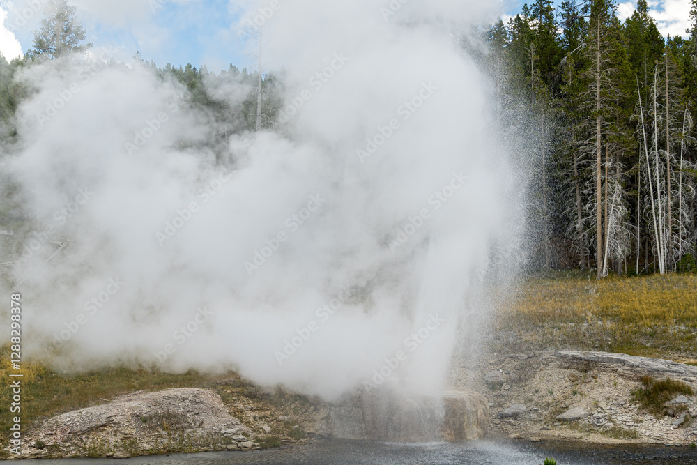 Riverside Geyser erupting along the Firehole River, in the Upper Geyser Basin of Yellowstone National Park Riverside Geyser erupting along the Firehole River, in the Upper Geyser Basin of Yellowstone National Park