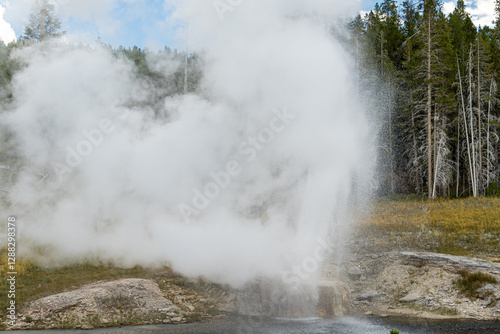 Riverside Geyser erupting along the Firehole River, in the Upper Geyser Basin of Yellowstone National Park