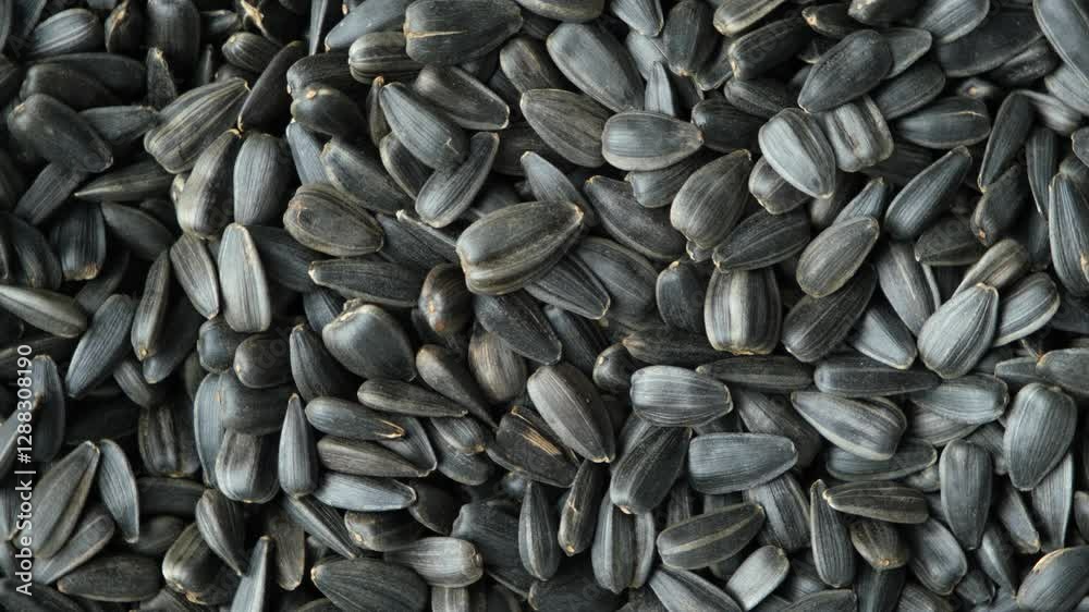 Heap of Roasted Sunflower Seeds Food Texture Top View Heap of Roasted Sunflower Seeds Food Texture Top View