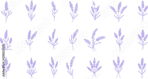 lavender icon in different style vector illustration. two colored and black lavender vector icons designed in filled, outline, line and stroke style can be used for web, mobile, ui