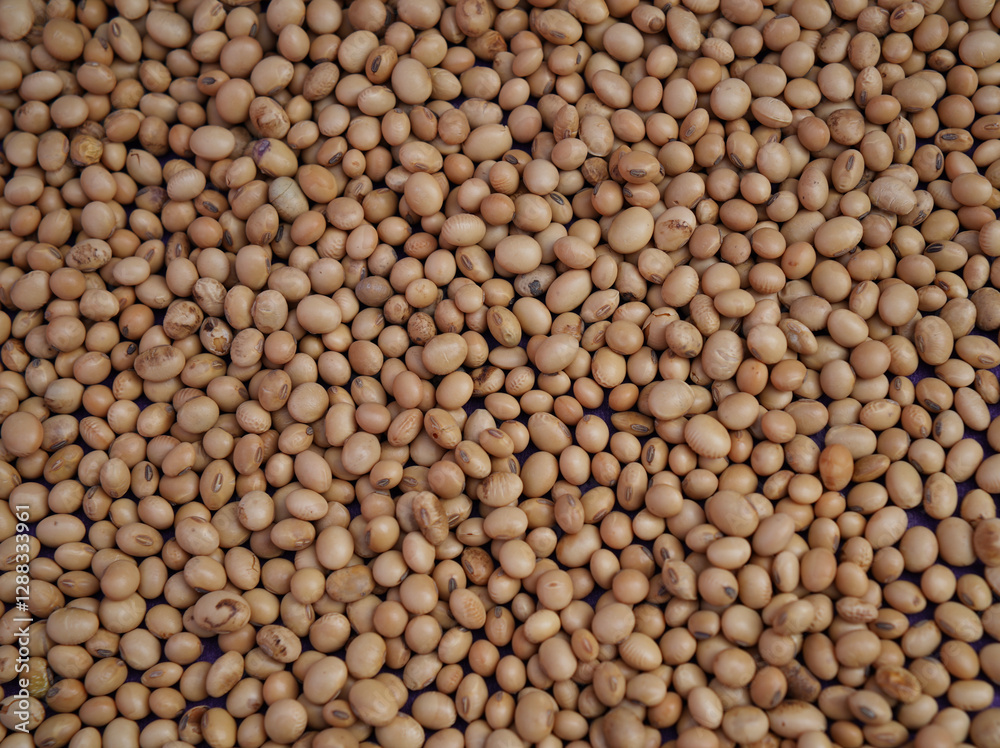 Close up soybeans background top view using for your advertising Close up soybeans background top view using for your advertising
