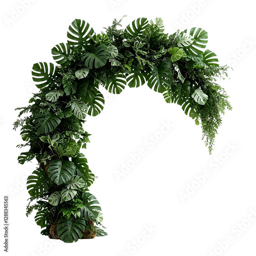 monster leave frame isolated