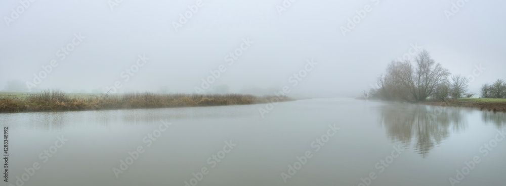 Fototapeta premium nature landscape in floodplanes of river rhine near amerongen in dutch province of utrecht