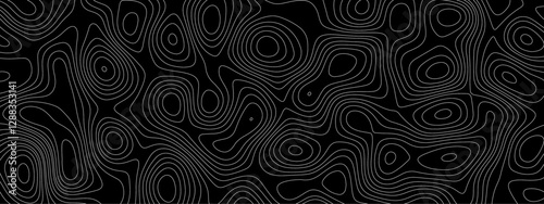 Abstract wave paper curved reliefs background .gradient multicolor wave curve lines banner background design. The black on white contours vector topography stylized height of the
