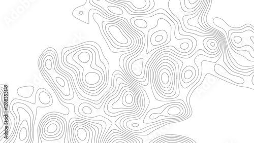 Abstract wave paper curved reliefs background .gradient multicolor wave curve lines banner background design. The black on white contours vector topography stylized height of the
