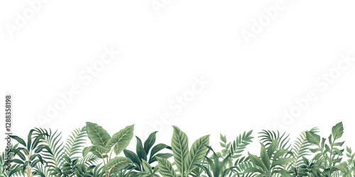 Botanical leaves, plants seamless border. Tropical floral banner.