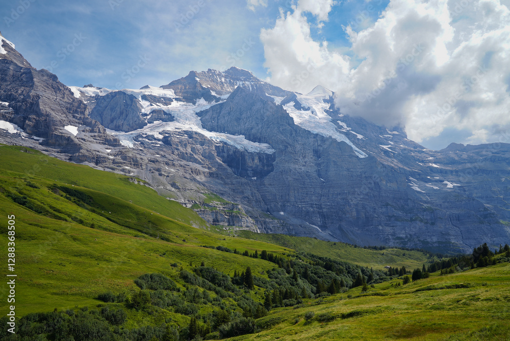 Fototapeta premium mountain landscape in the swiss alps in summer 