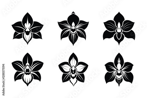 Cattleya Orchid (Cattleya trianae) siilhuette vector illustration