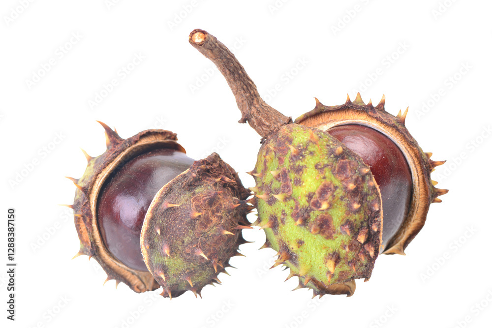 Chestnuts isolated on white