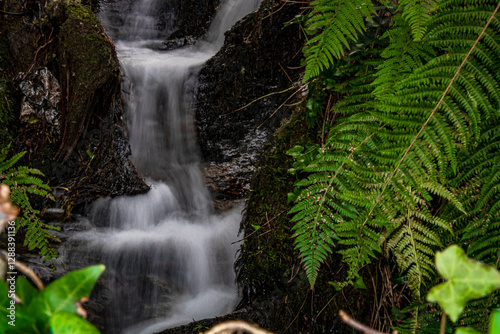 Fast flowing water small waterfall on hillside surrounded by green fern leaves in horizontal shot