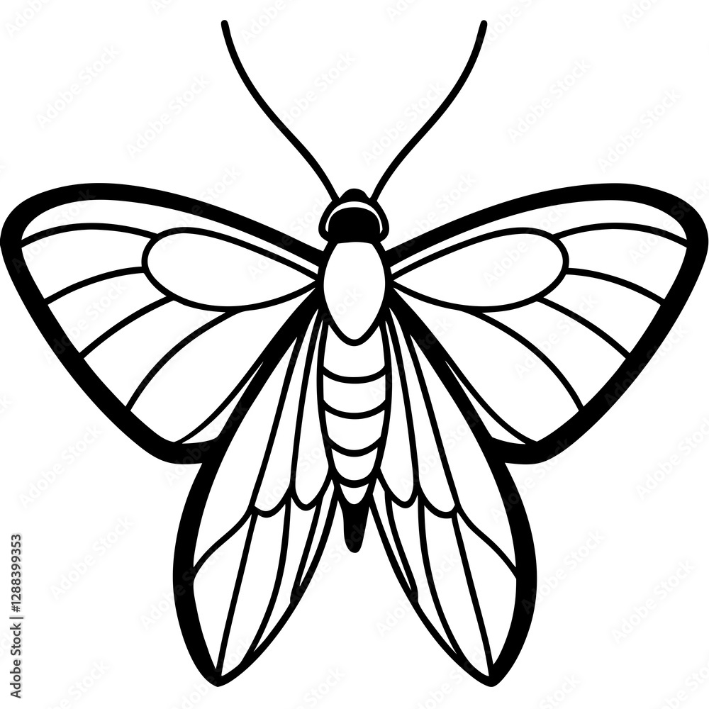 Sleek One-Line Moth Vector Illustration Sleek One-Line Moth Vector Illustration