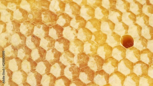 A closeup detailed view of a Honeycomb Texture featuring its rich Golden Honey inside