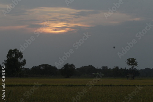 a sunset seen in the sky over a rice field in nakhon sawan province, north of bangkok on february 23, 2025.. photo