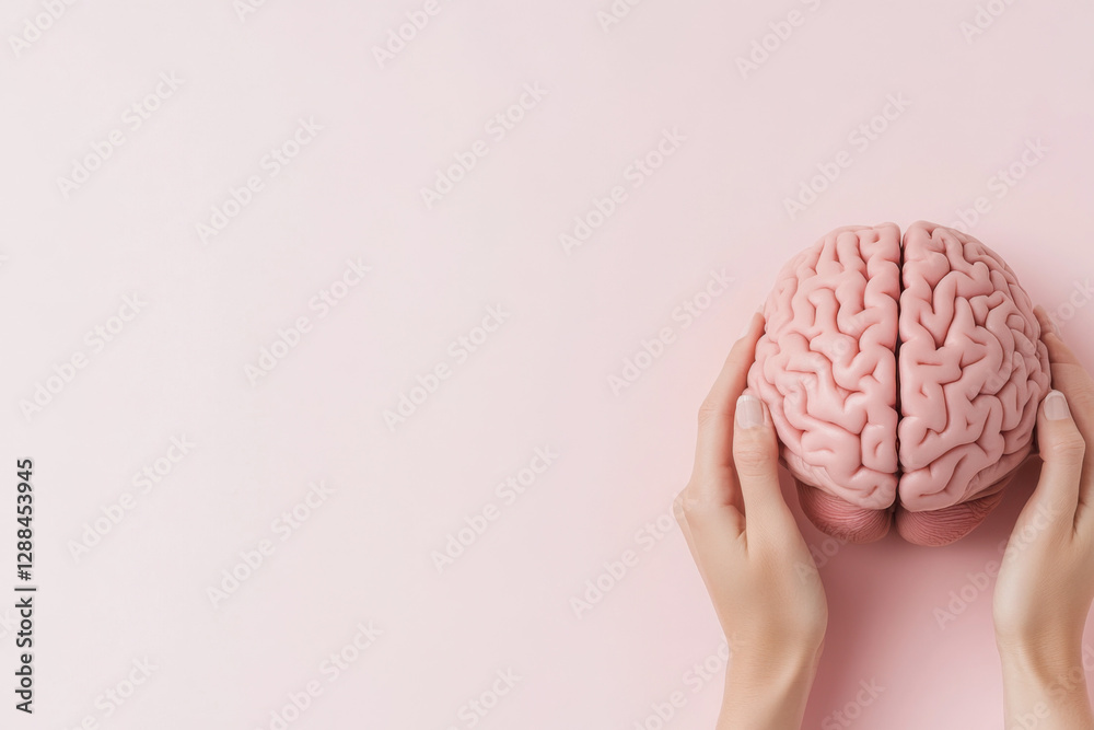 Hands holding anatomical brain model on pink background Hands holding anatomical brain model on pink background