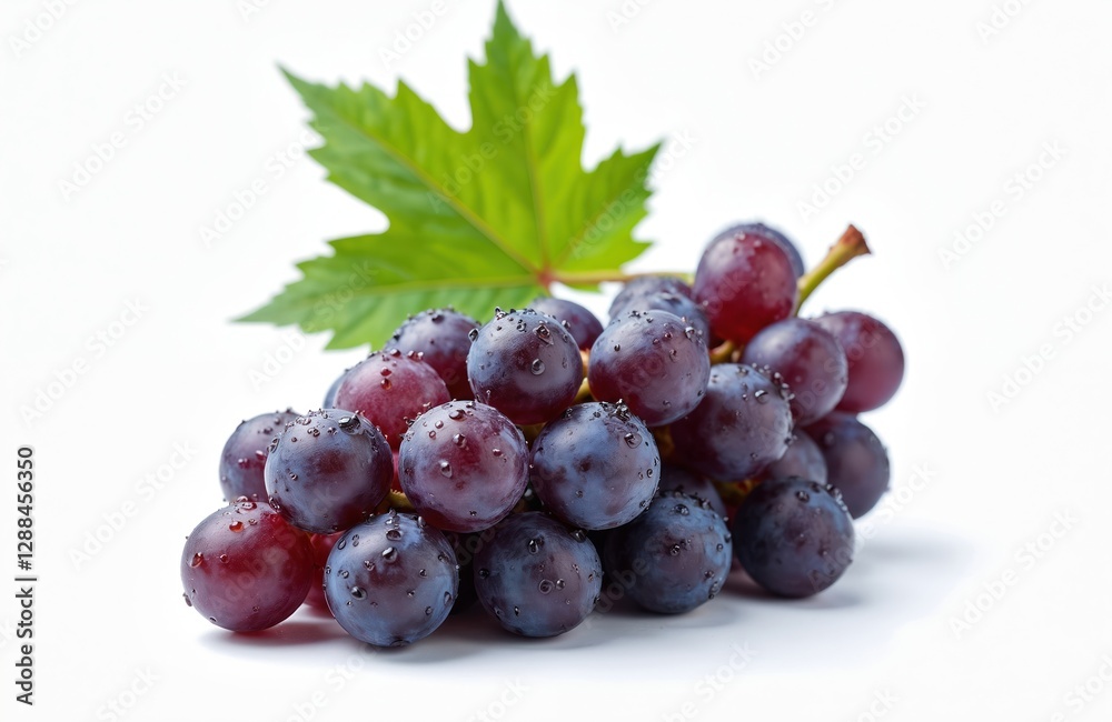 Juicy purple grape cluster with green leaf isolated on white background. Fresh ripe fruits covered with water drops, sweet healthy vegan snack, dessert ingredient. Viticulture, agriculture. Juicy purple grape cluster with green leaf isolated on white background. Fresh ripe fruits covered with water drops, sweet healthy vegan snack, dessert ingredient. Viticulture, agriculture.