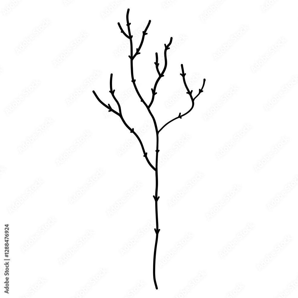 Fototapeta premium Elegant silhouettes of leaves, grass, branches create stunning visual effects for art projects.